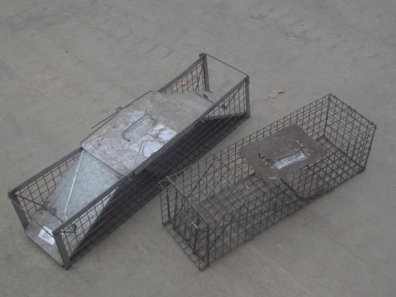 lot 80 image: (2) Animal Live Traps...