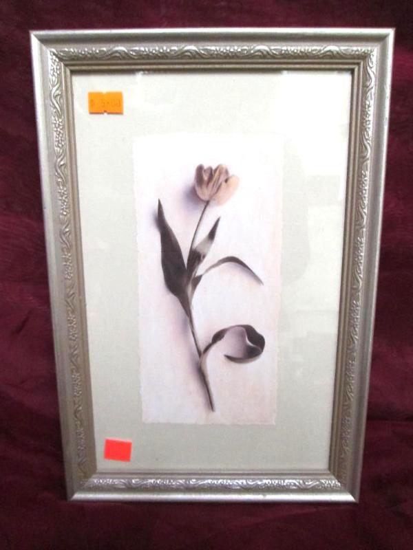 Very nice picture of a single tulip...