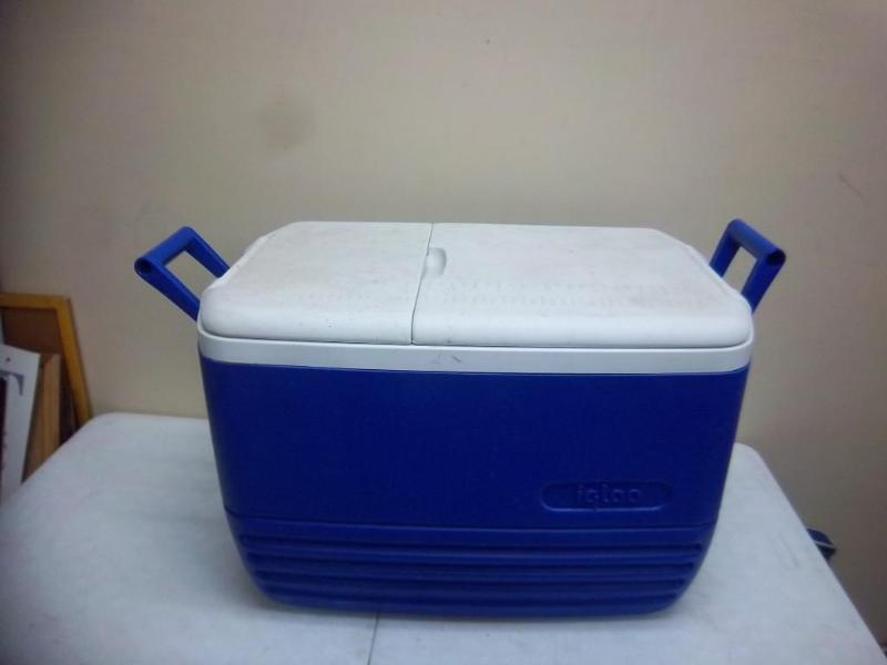 lot 10 image: Medium Size Blue Igloo Cooler - Nee...
