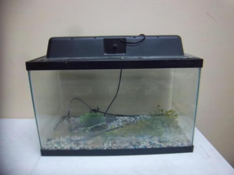 lot 8 image: FishReptile Tank Needs A Cleaning ...