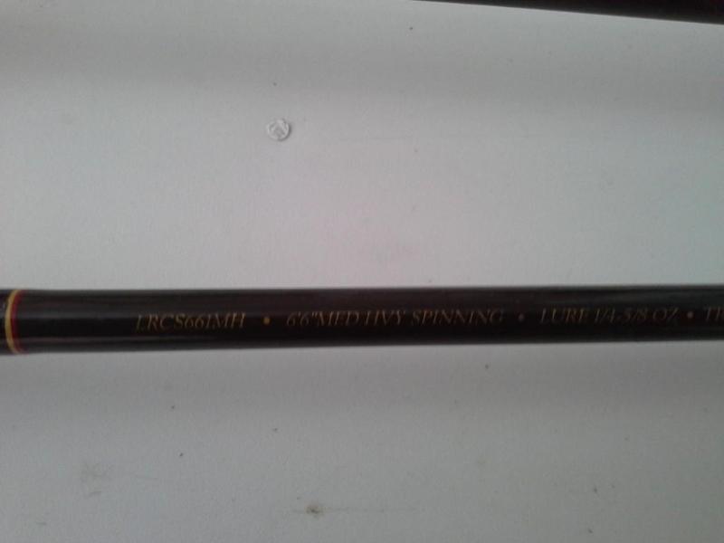 Spincast Fishing Rods