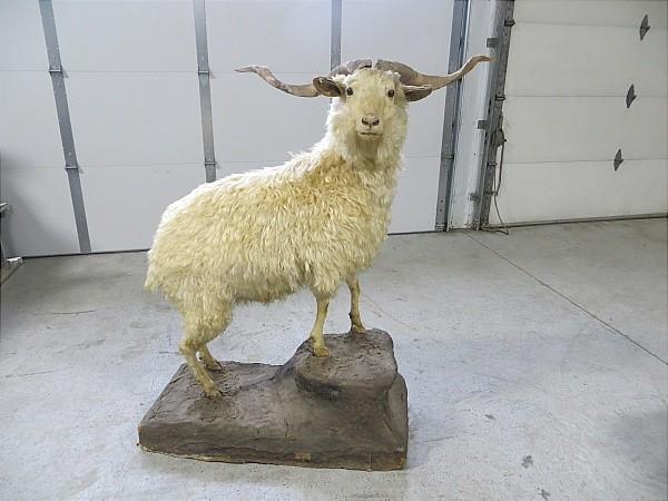 Full Ram Mount. Consignor stated it...