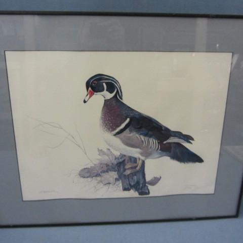 Lysaker wood duck print