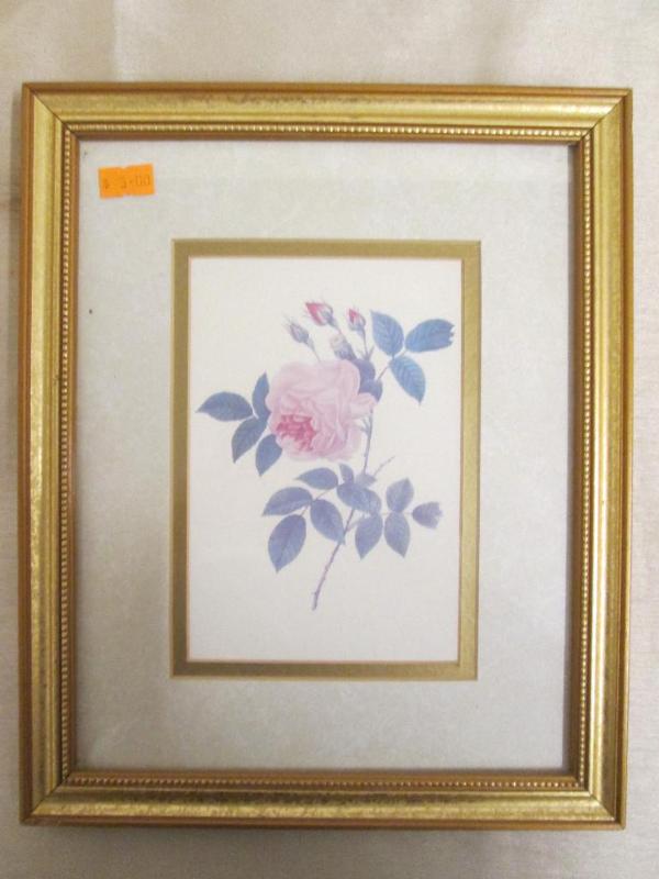 lot 146 image: Single rose print framed in gold. N...