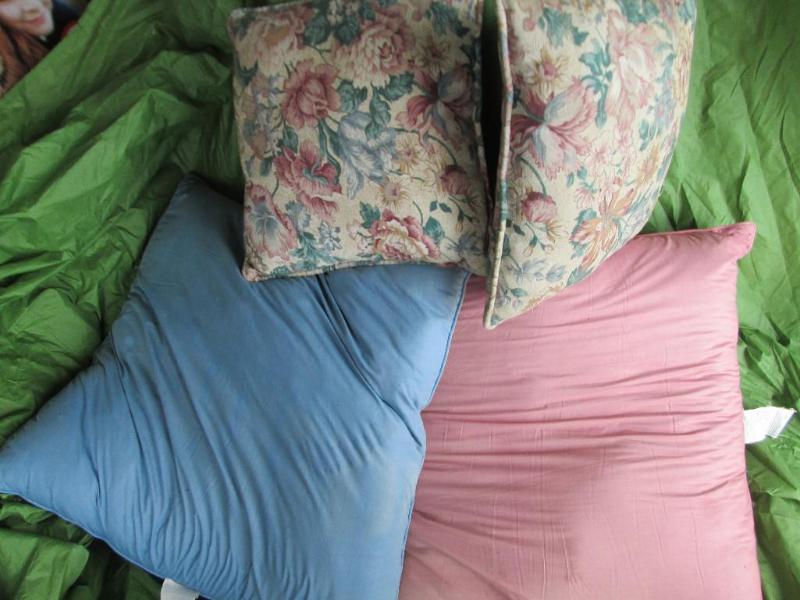 lot 223 image: Set of 4 pillows...