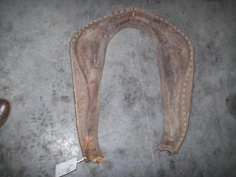 lot 7 image: Neck collar - 20" ...