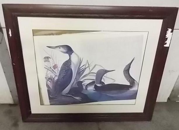 lot 33 image: Framed Picture Loons 31" x 36&...