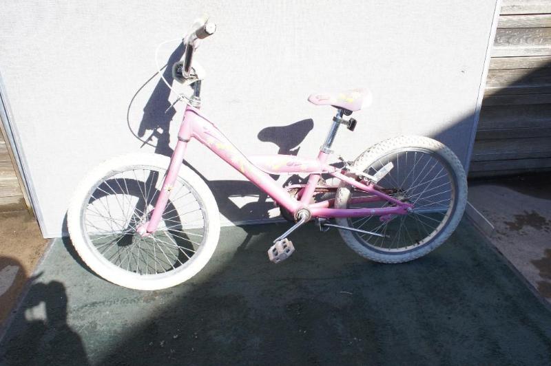 lot 25 image: Trek Mystic Pink girls bike with 20...