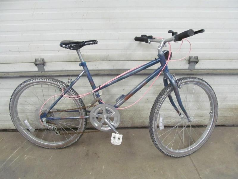 lot 237 image: Blue Bike, 10 Speed 23"...