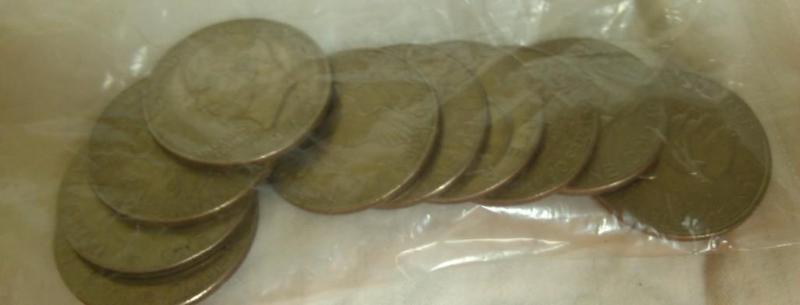 Bag of 10 Ike Dollars...