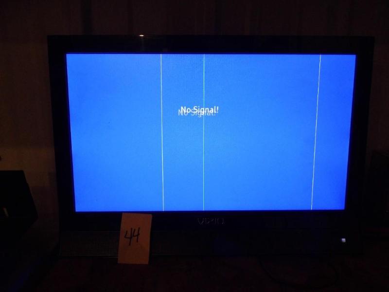 Vizio 19&quot TV - Picture has lin...