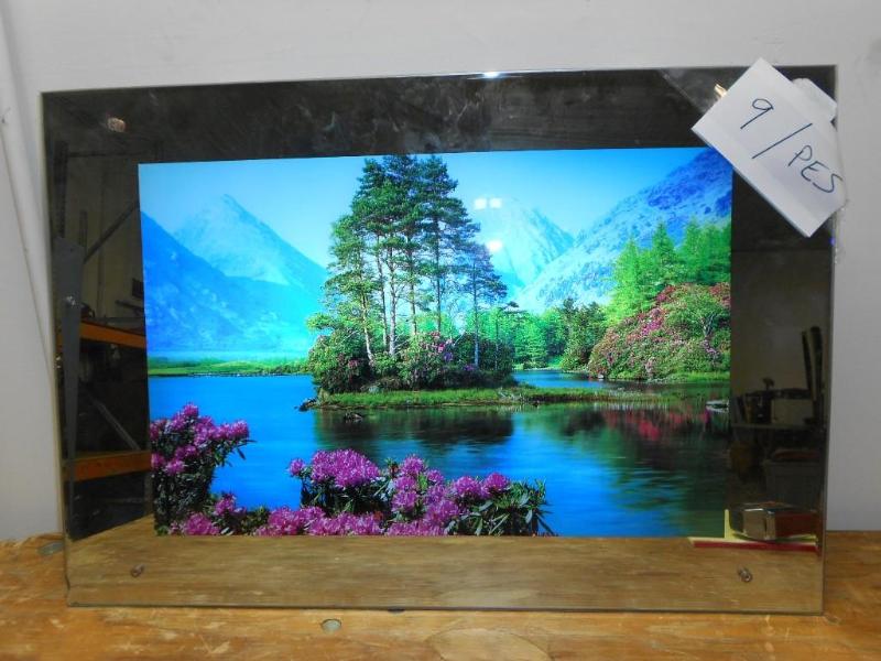 lot 9 image: Lighted motion picture of the Beaut...