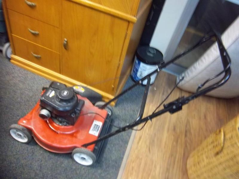lot 176 image: Push Mower Briggs And Stratton Engi...
