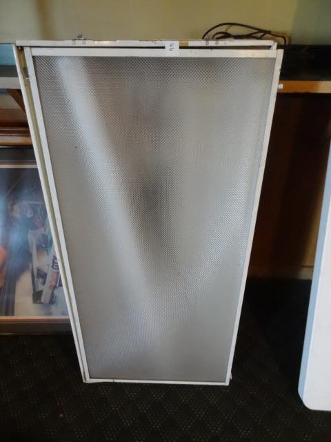 2 x 4 ceiling light. 120 volt. 4 bu...