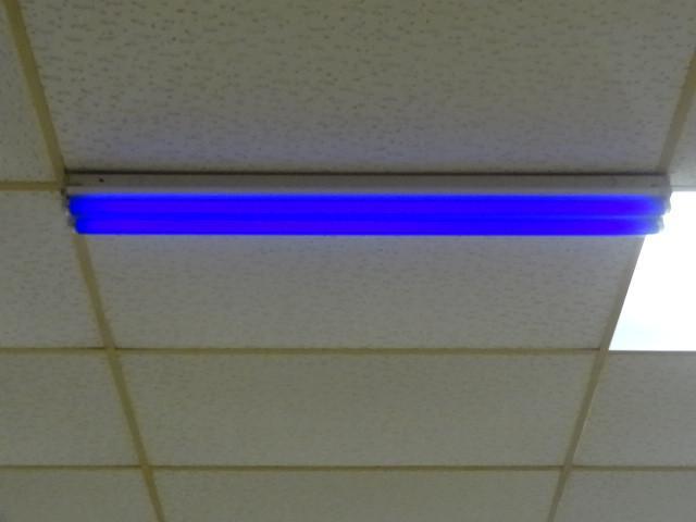 36&quot double bulb black light. W...