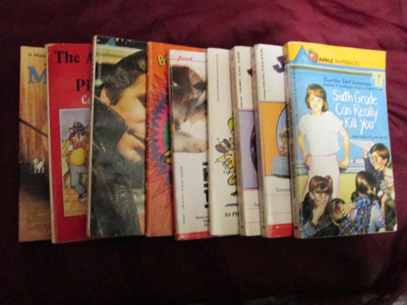 lot 173 image: Lot of adolescent books in good con...