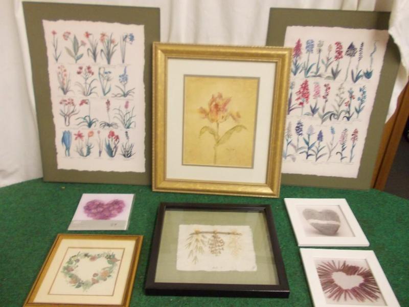 Lot Of Assorted Wild Flower, Dried ...