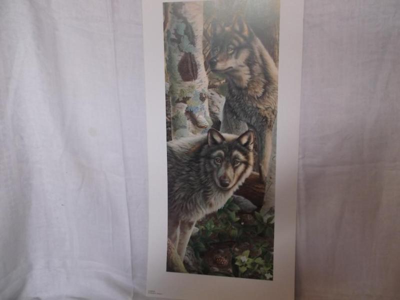 DOMINION by Michael C.Steddum print...