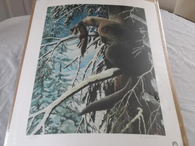 Darkwoods Hunter-Fisher by George L...