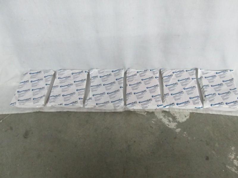 lot 29 image: 6 Ice Packs  ThermoSafe Polar Packs...