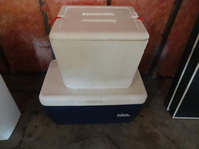 lot 11 image: Igloo 36 cooler and styrofoam coole...