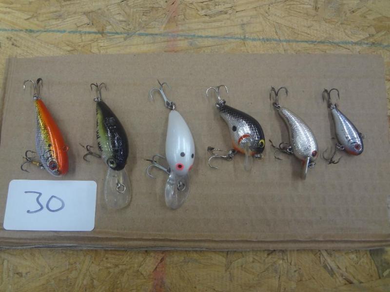 (6) Crankbait Lures...