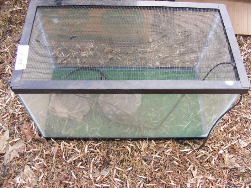 Reptile Tank