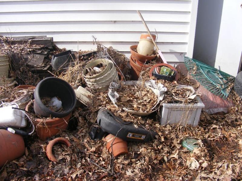 Flower Pots