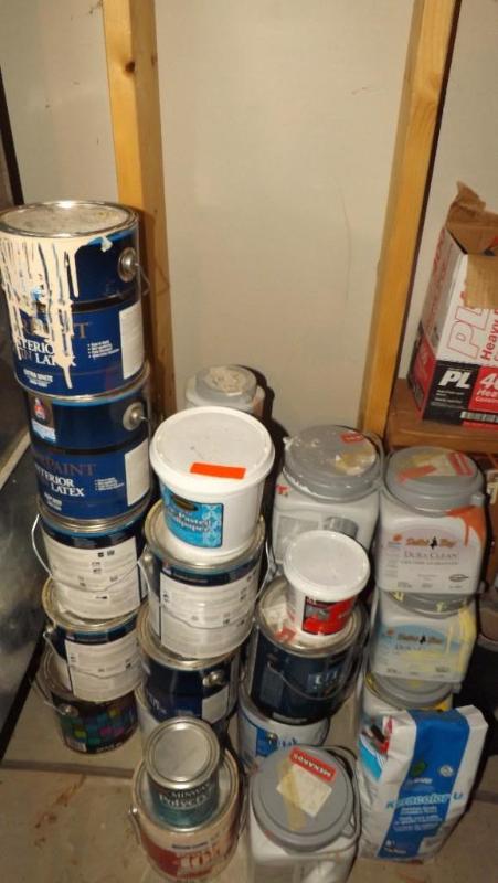Paints