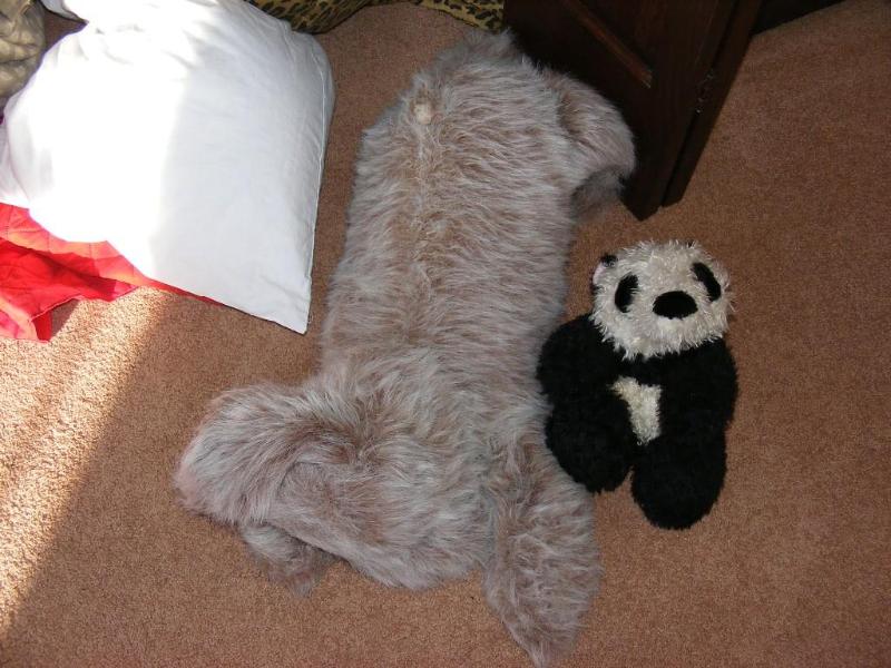 Bedding