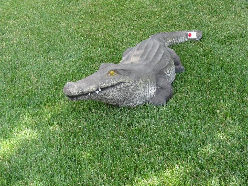 Alligator, resin, approx. 5 ft long...