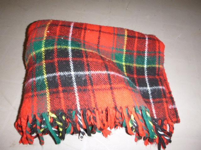 lot 300 image: Stadium Blanket...