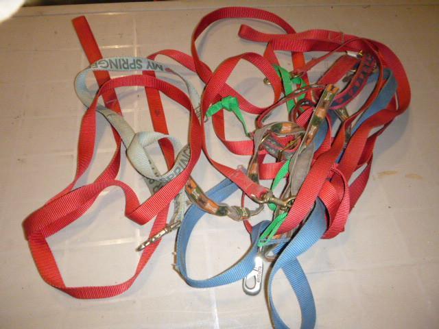 lot 94 image: Numerous Dog Leashes...