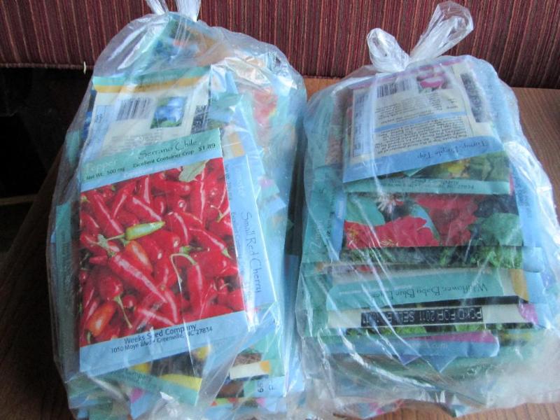 Lot of 200 garden seeds, assorted f...