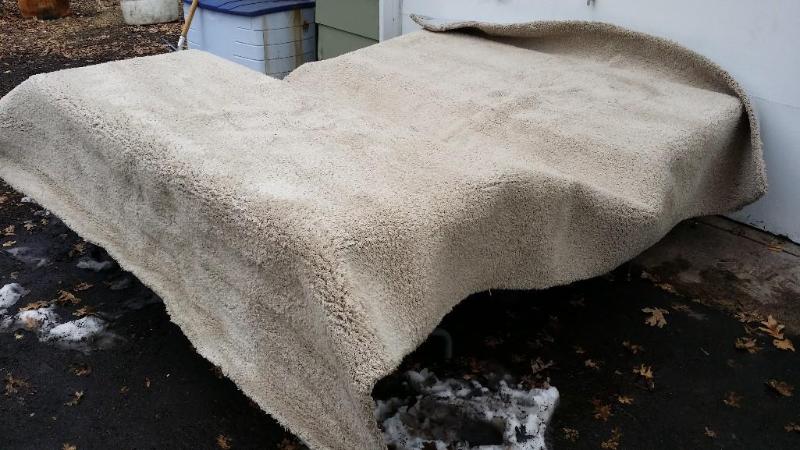 lot 23 image: Bliss area rug. Luxuriously soft an...