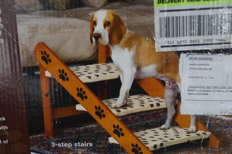 Convertible pet steps...