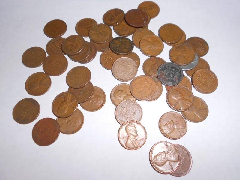 50 count - Lincoln Wheat penny coll...