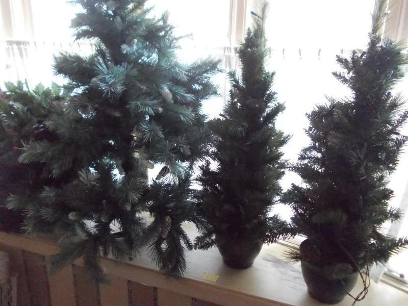Lot Of Trees, Bag Of Garland &amp ...