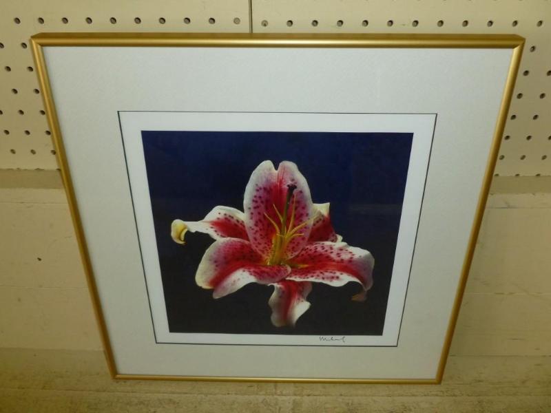 lot 24 image: Michael Moschogianis " Stargaz...