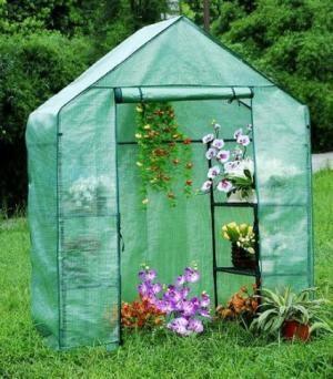 Compact Walk-in Greenhouse, high-gr...