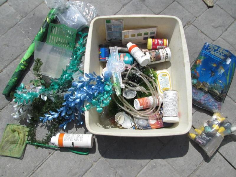 lot 184 image: Large aquarium starter lot...
