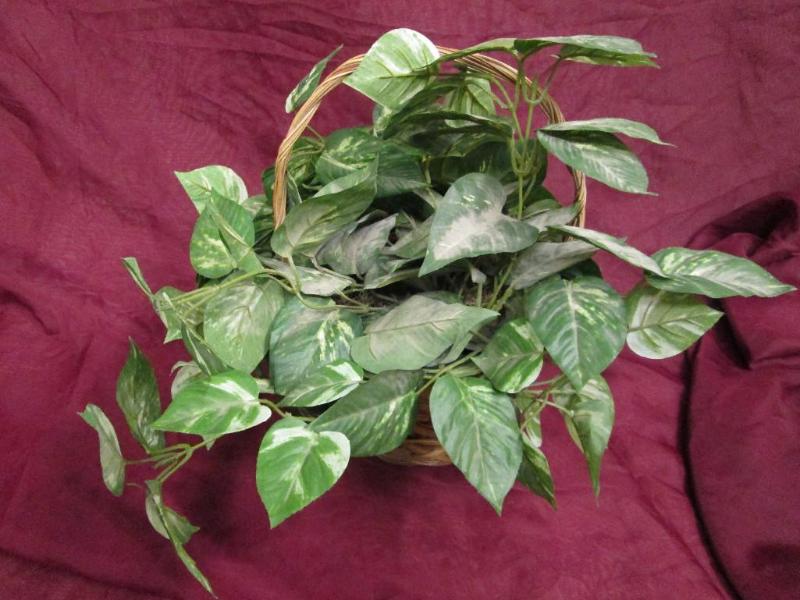 lot 219 image: Artificial philadendron in basket....