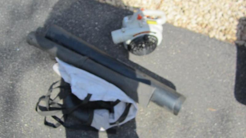 lot 10 image: Echo blower vac...