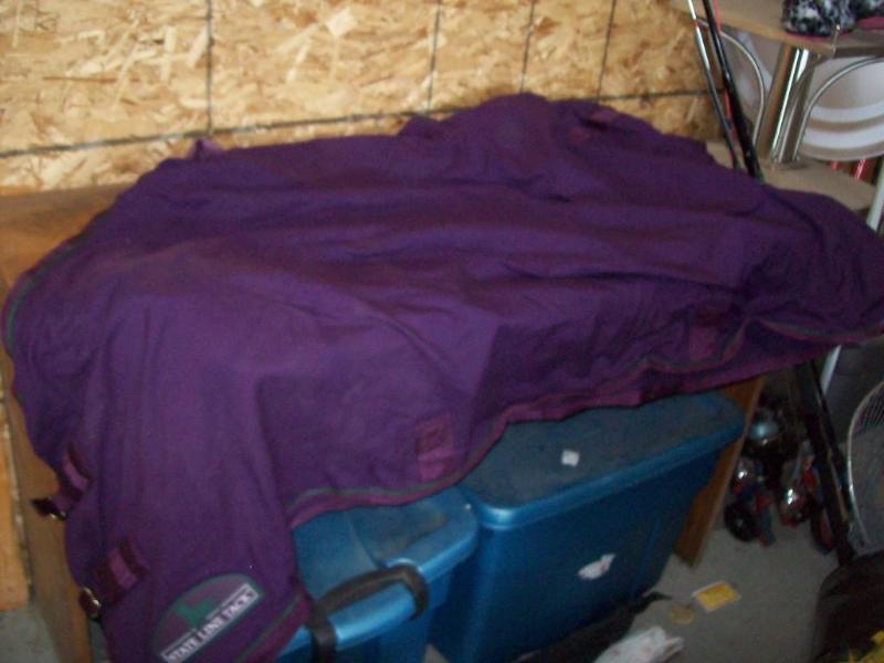 State Line Tack Sheet item 16...
