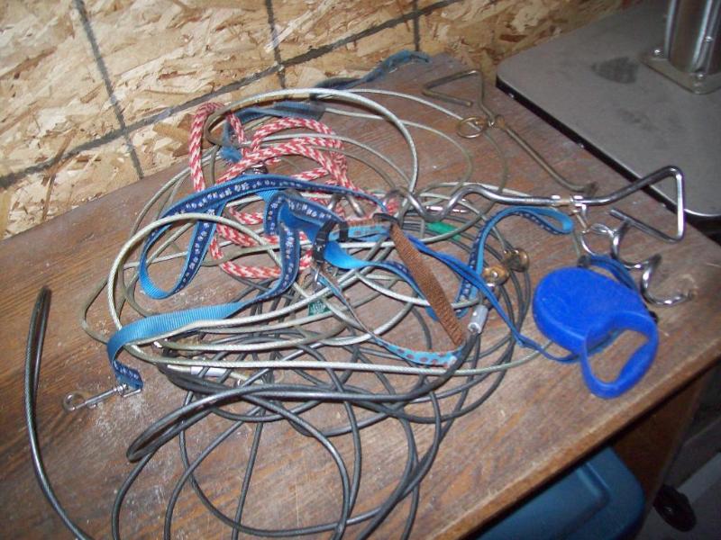 Misc dog leashes &amp (2) tie down...
