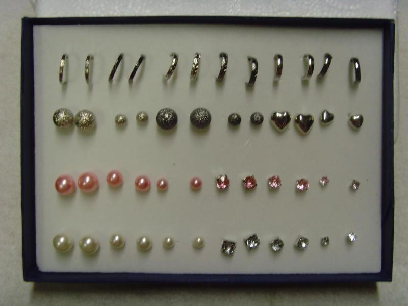 24 Pair Earring Set