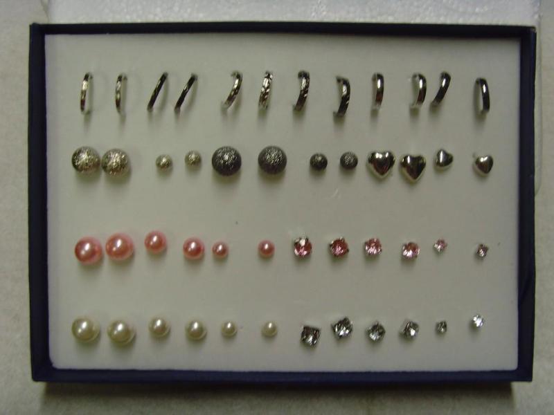 24 Pair Earring Set