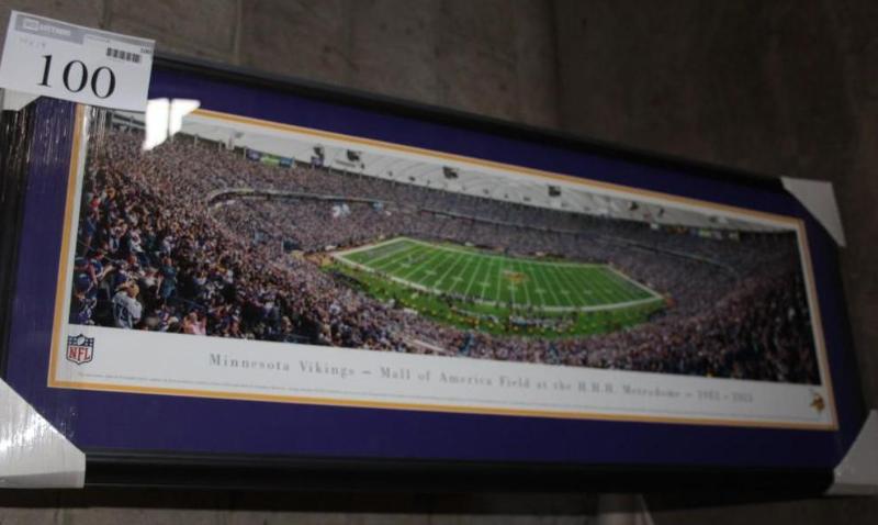 lot 100 image: Picture of Minnesota Vikings - Mall...