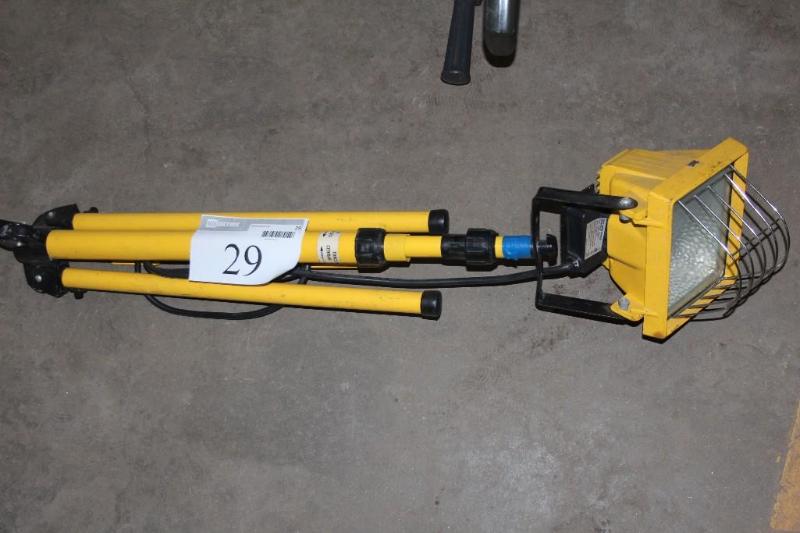 lot 29 image: Outdoor, Work Flood Light, Regent L...