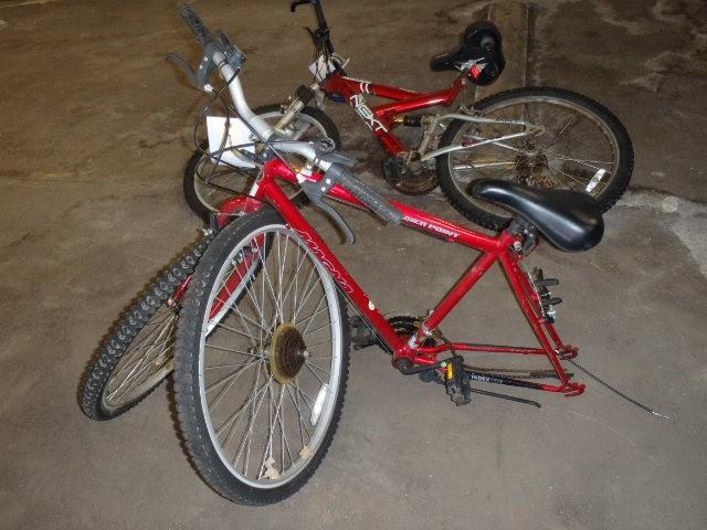 lot 336 image: Magna Bicycle, Youth 15 Speed, Red ...
